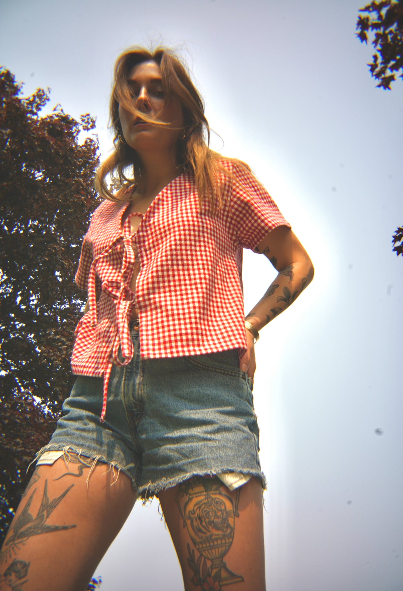 トップス POPPING GINGHAMCHECK SHOULDER RIBBON TOP GINGHAM TOP WITH BOW - Brown / White | ZARA Canada